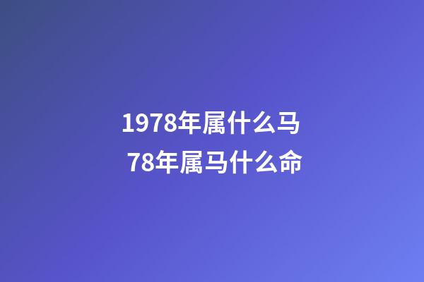 1978年属什么马 78年属马什么命